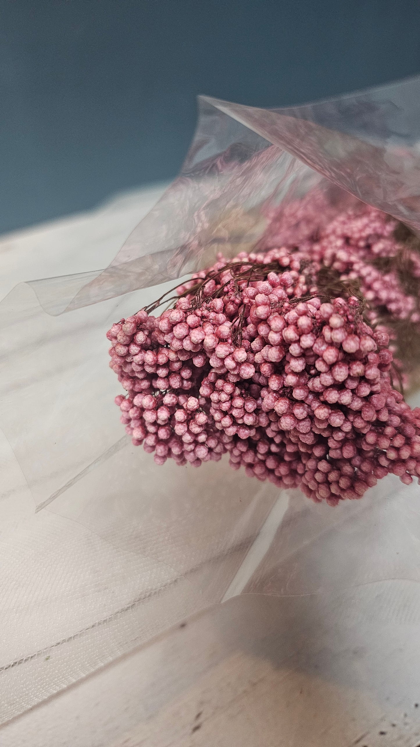 Preserved Rice Flower