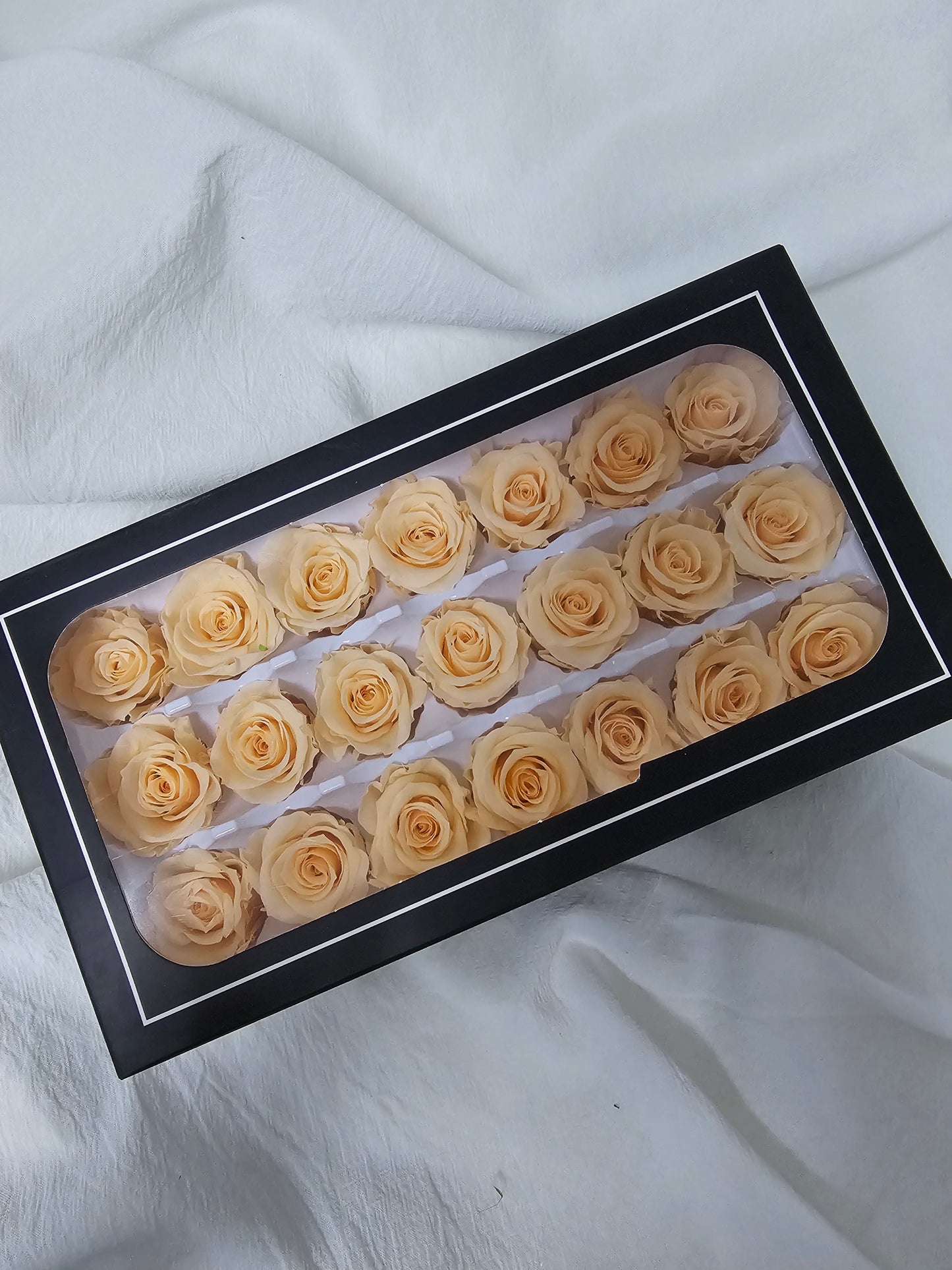 Preserved Mini Roses