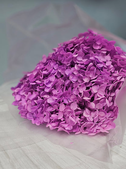 Preserved Hydrangeas (Stem)