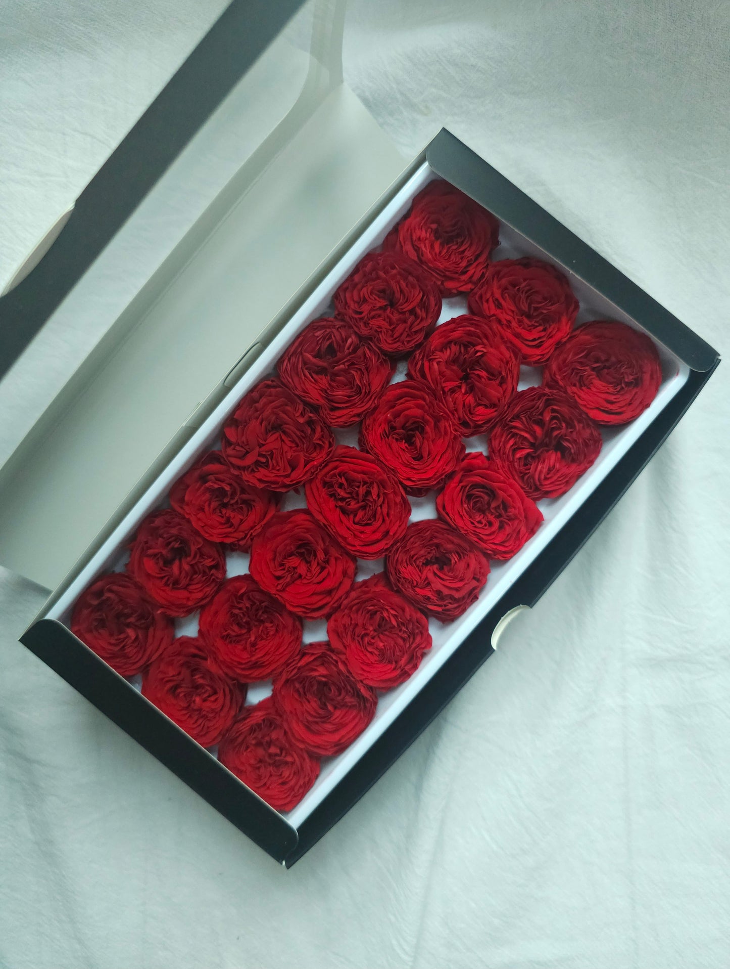 Preserved Mini Austin Roses