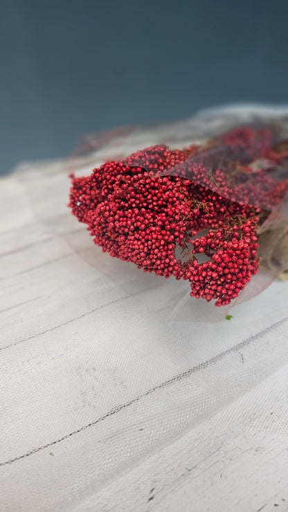 Preserved Rice Flower