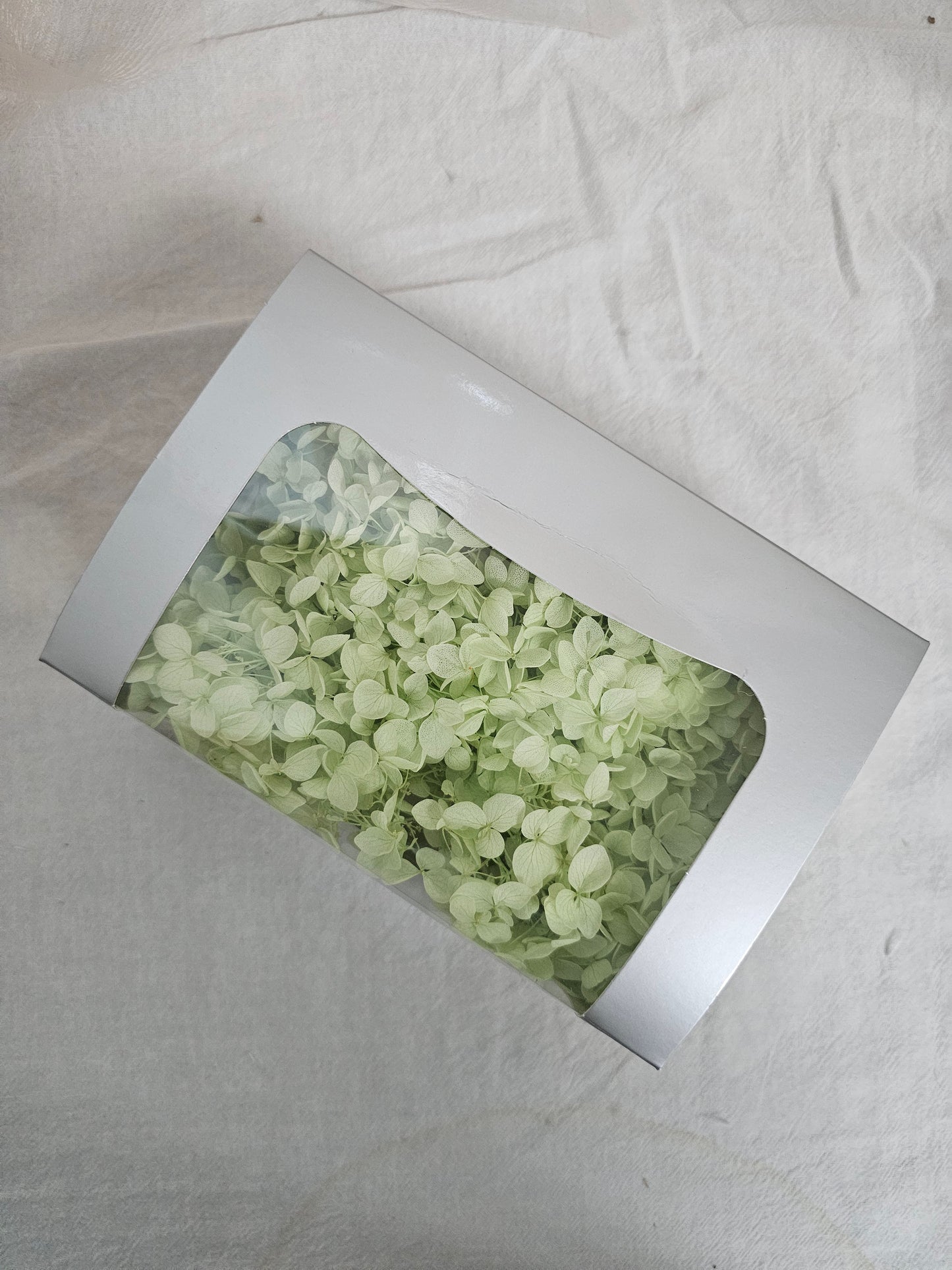Preserved Hydrangeas (Box)