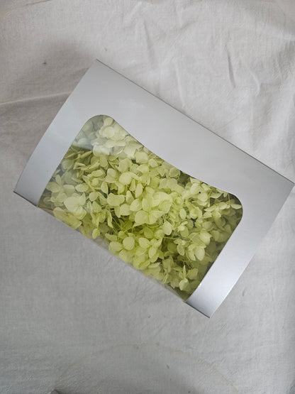 Preserved Hydrangeas (Box)
