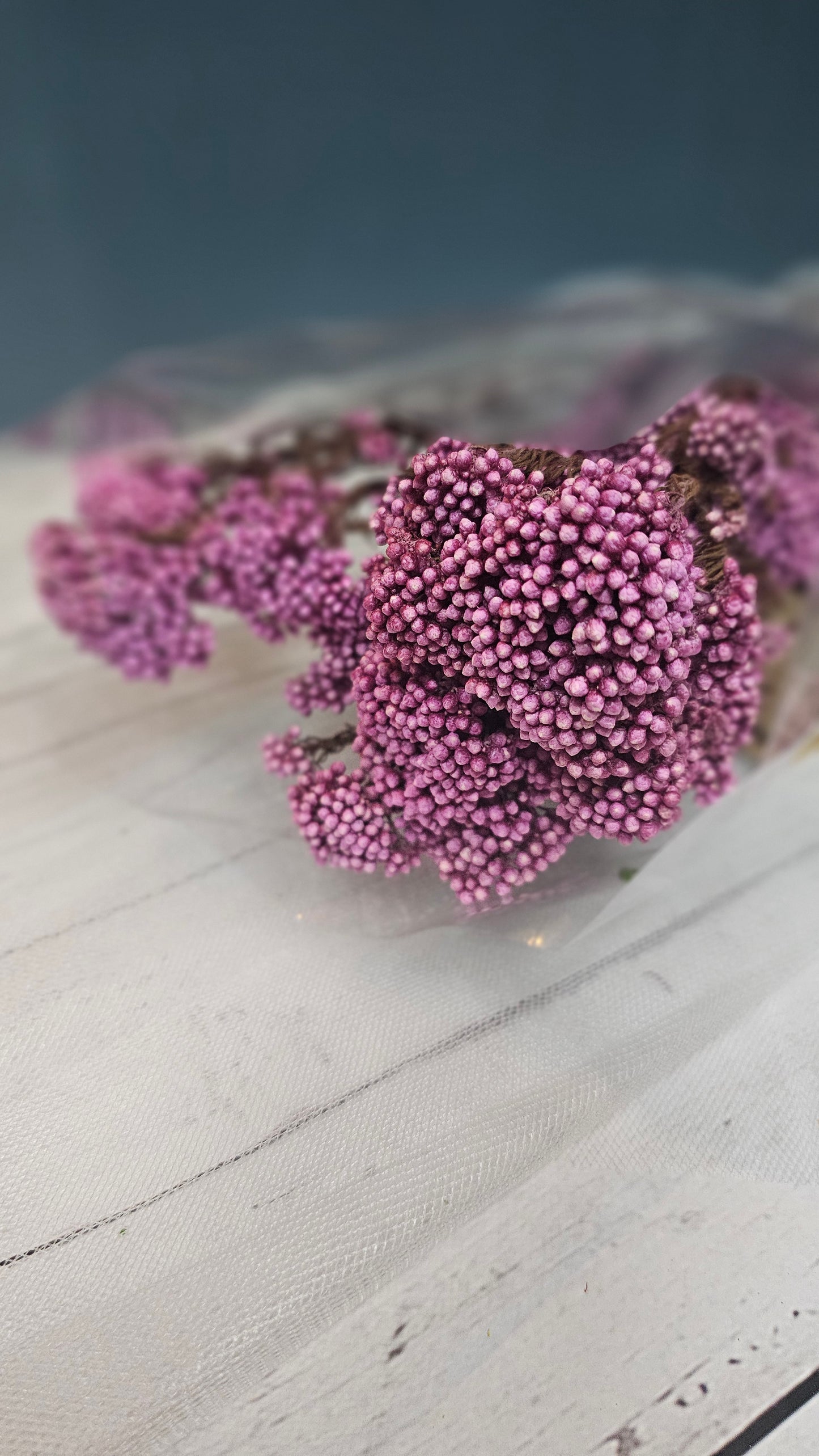 Preserved Rice Flower