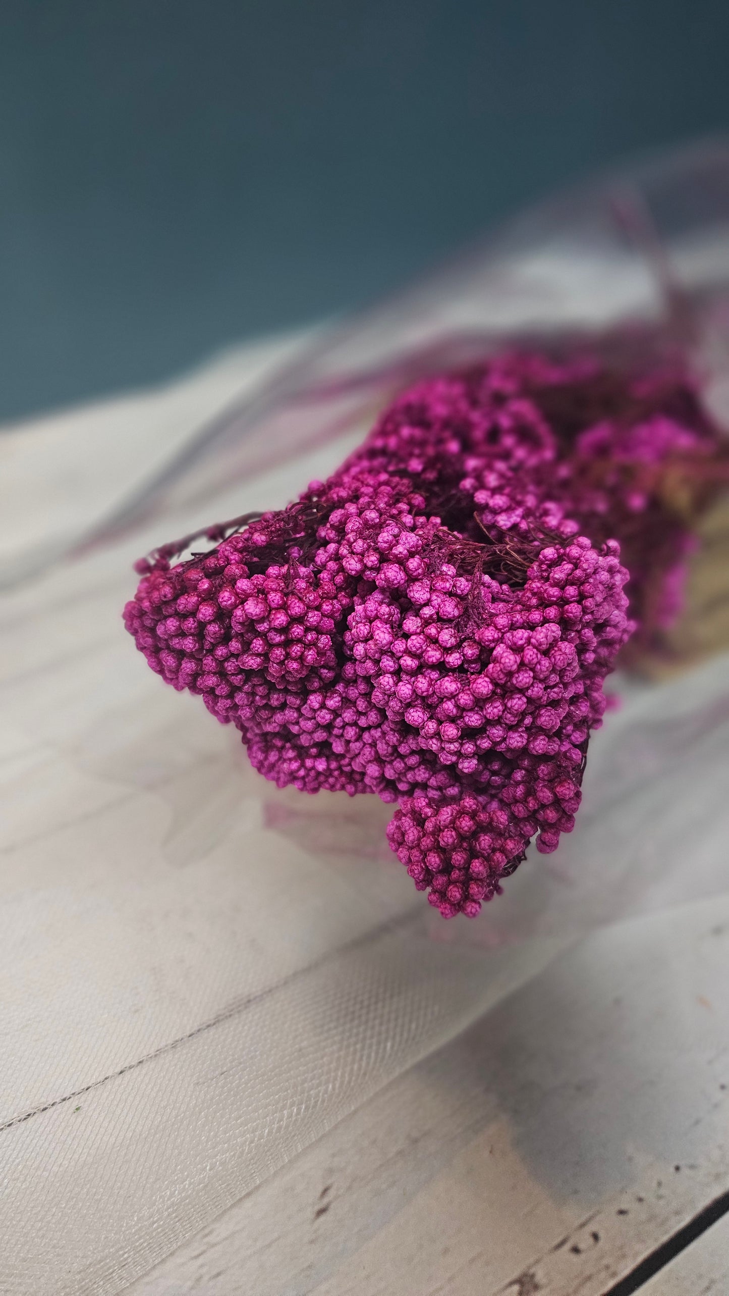 Preserved Rice Flower