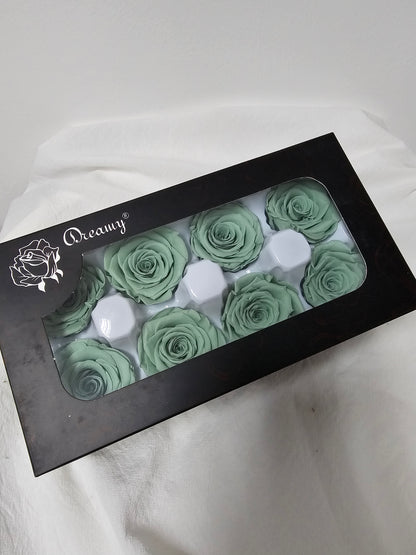 Preserved Roses