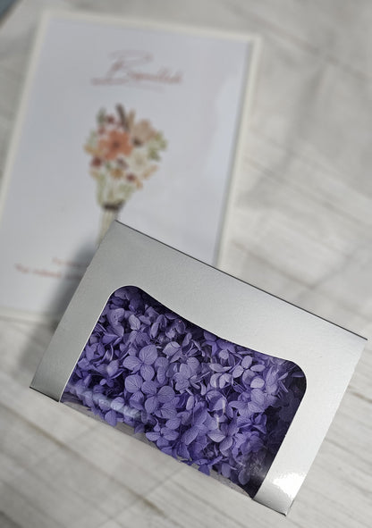 Preserved Hydrangeas (Box)