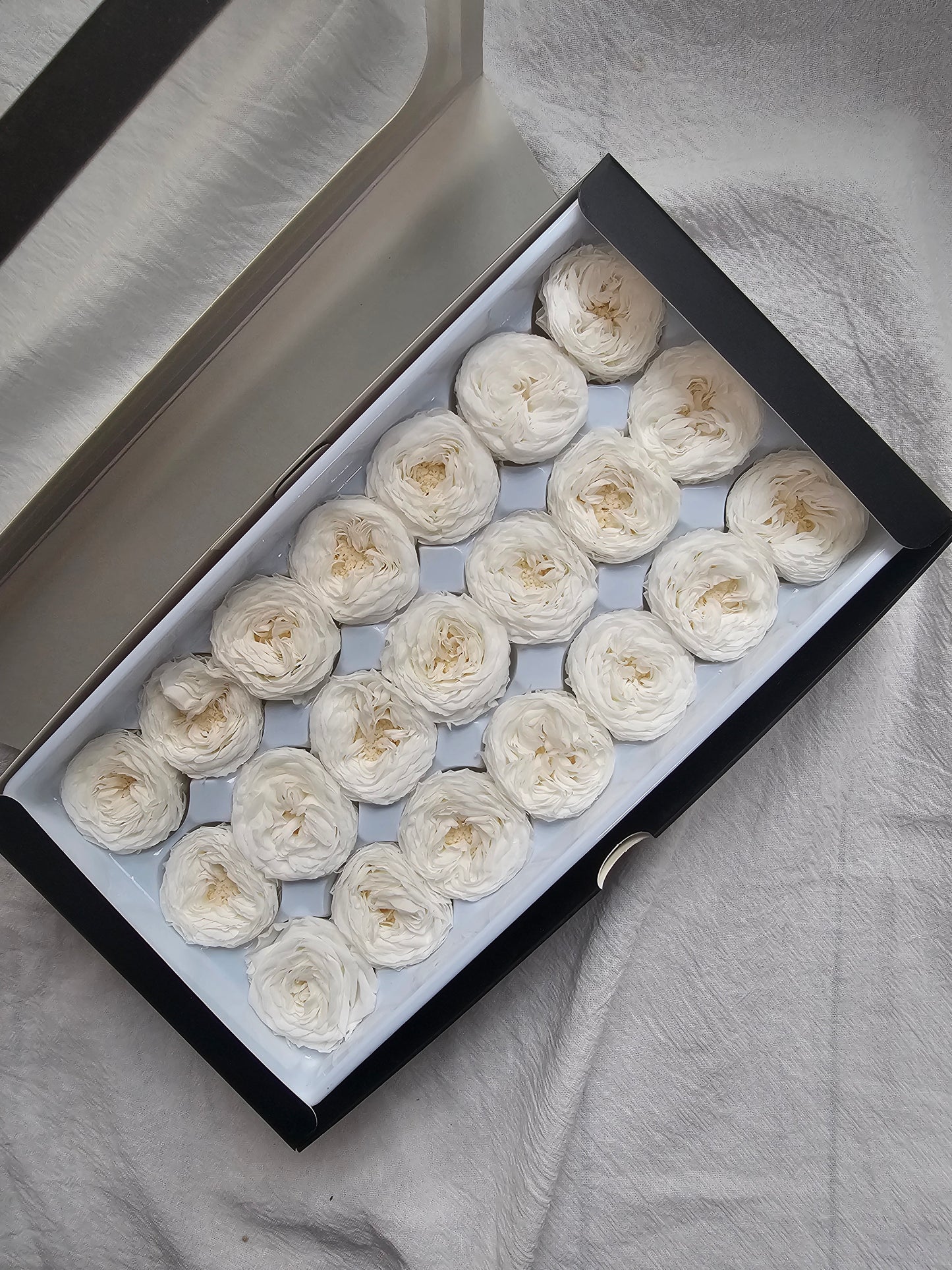 Preserved Mini Austin Roses
