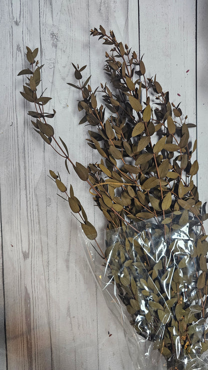 Preserved Eucalyptus Slender Leaves