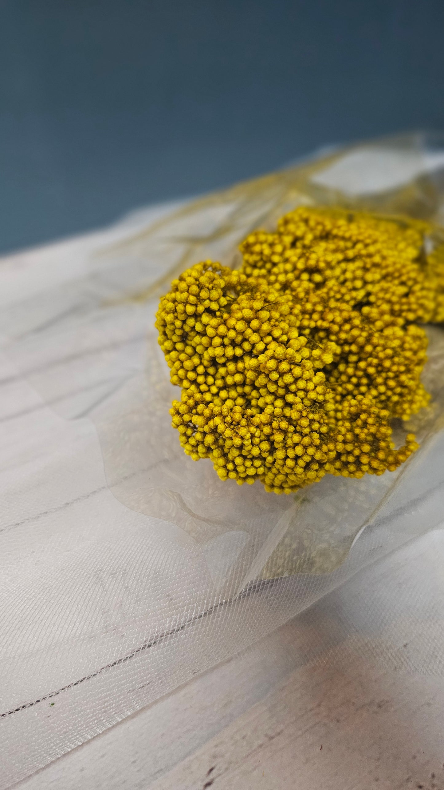 Preserved Rice Flower