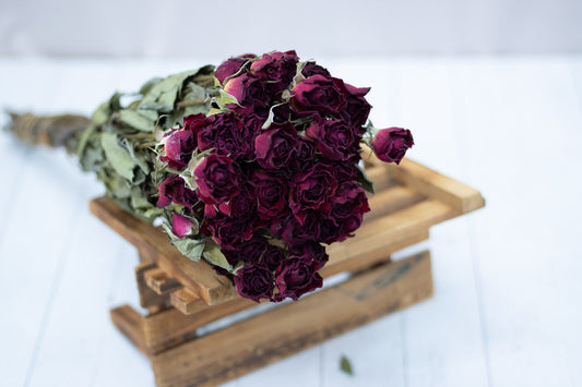 Dried Roses