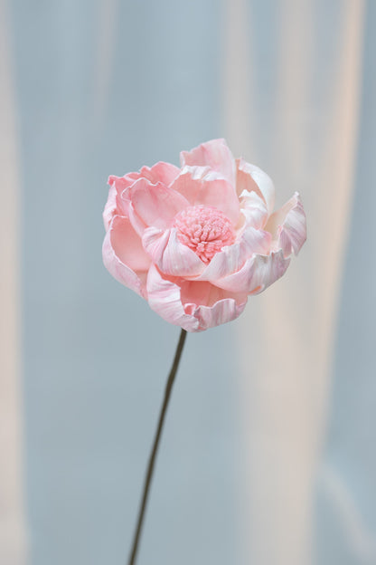 Peony/Lotus (Wood Flower) Single Stalk