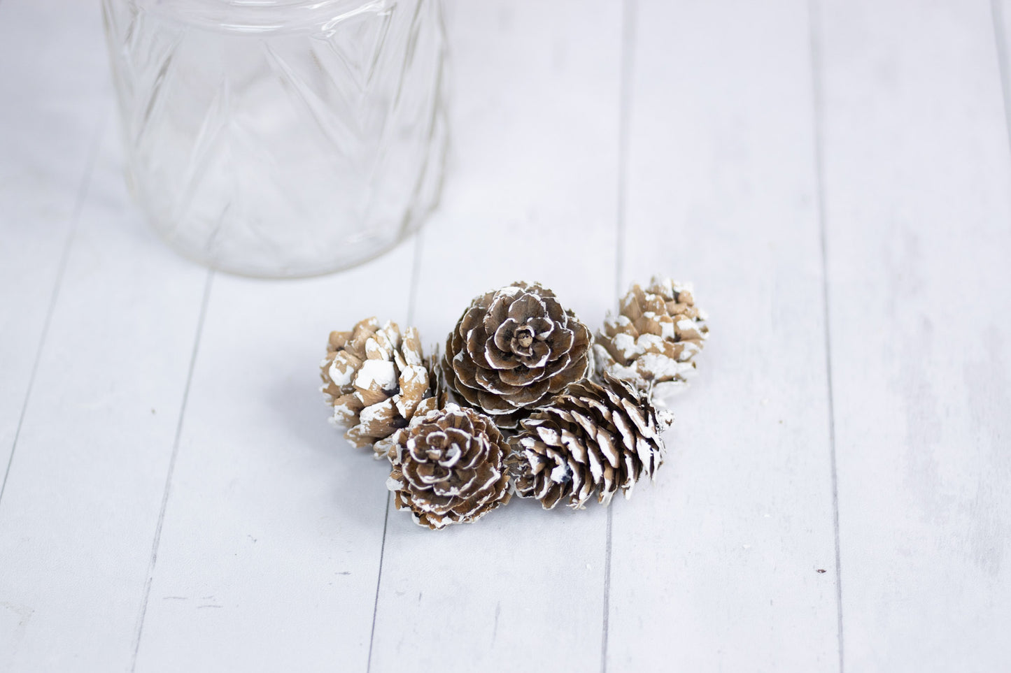 Pine Cones