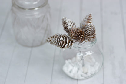 Pine Cones