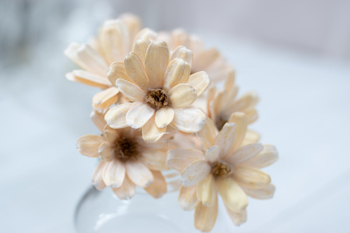 Japanese Seed (Wood Flower)