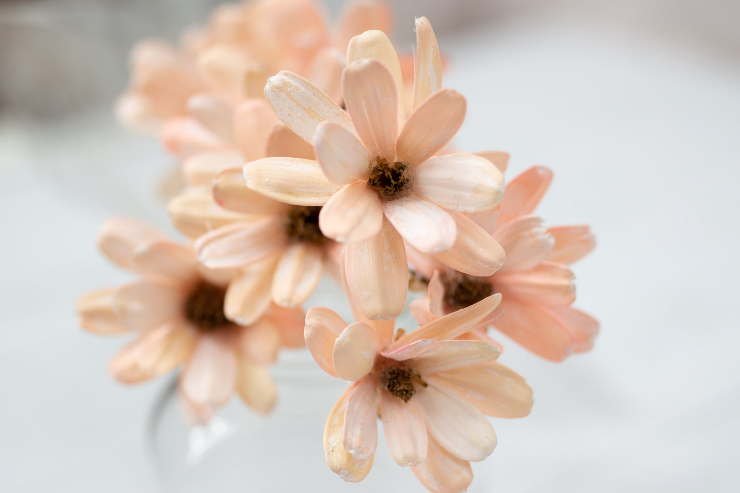 Japanese Seed (Wood Flower)