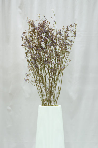 Preserved Limonium