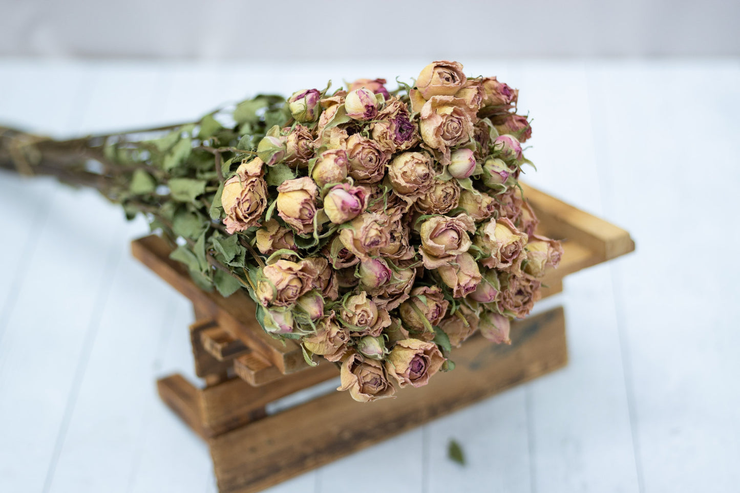 Dried Roses