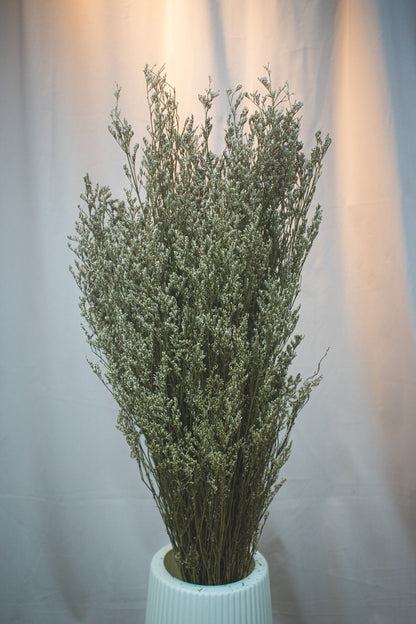 Preserved Limonium