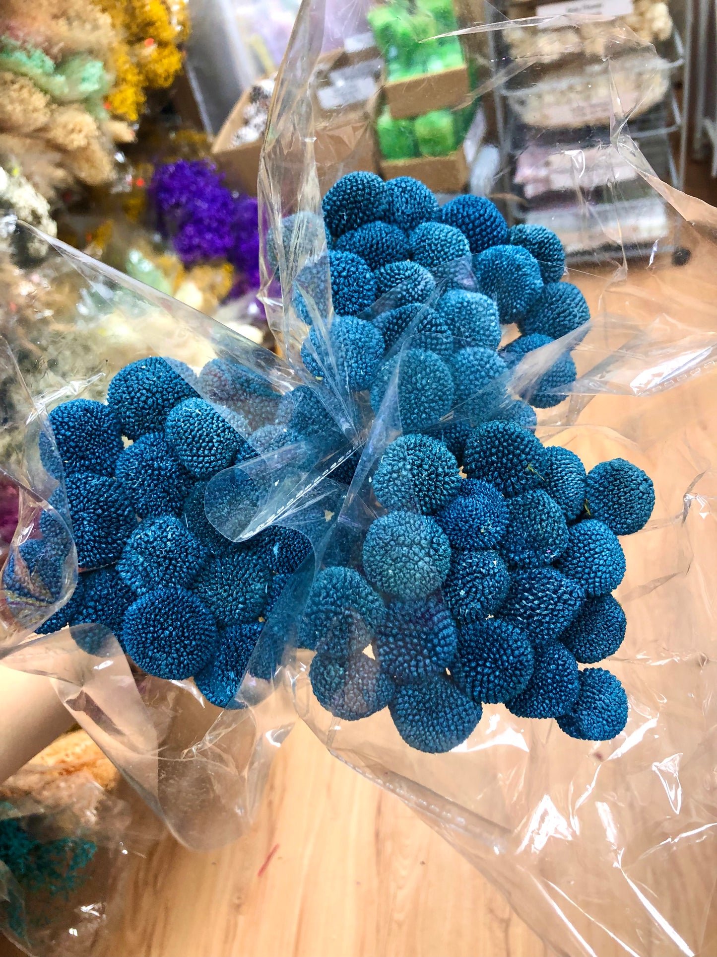 Preserved Craspedia Ball / Billy Buttons