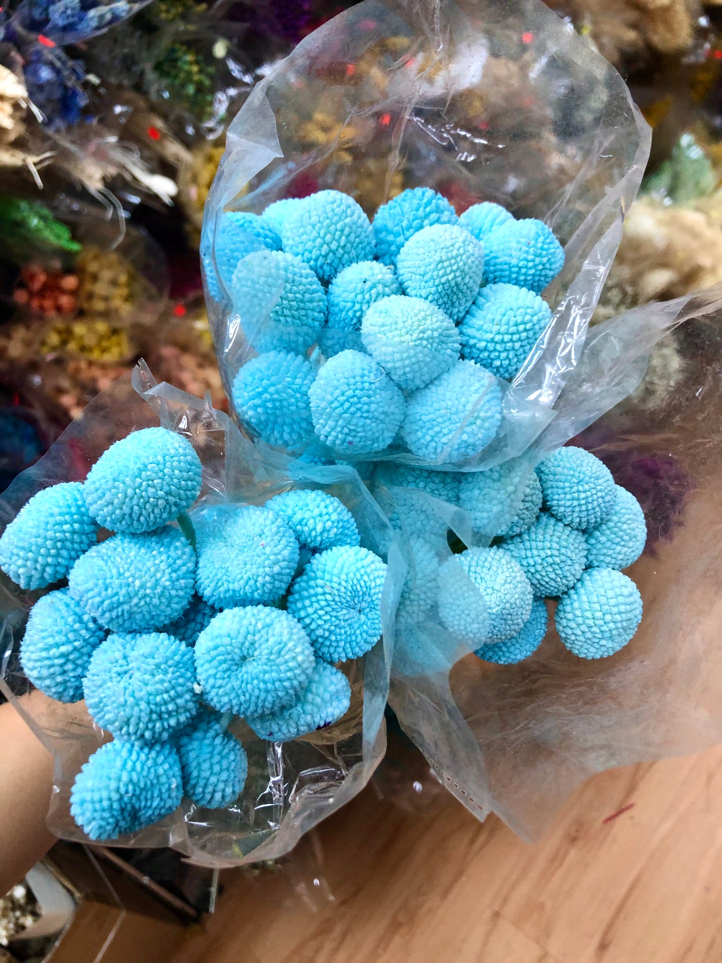 Preserved Craspedia Ball / Billy Buttons