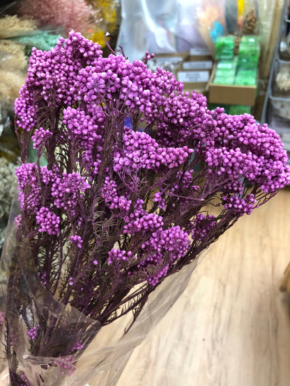 Preserved Rice Flower