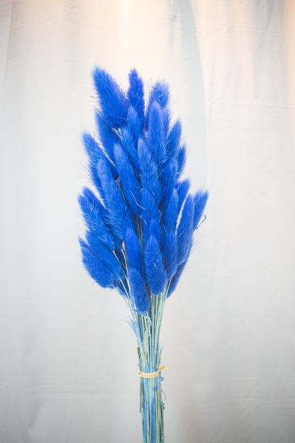 Preserved Bunny Tails