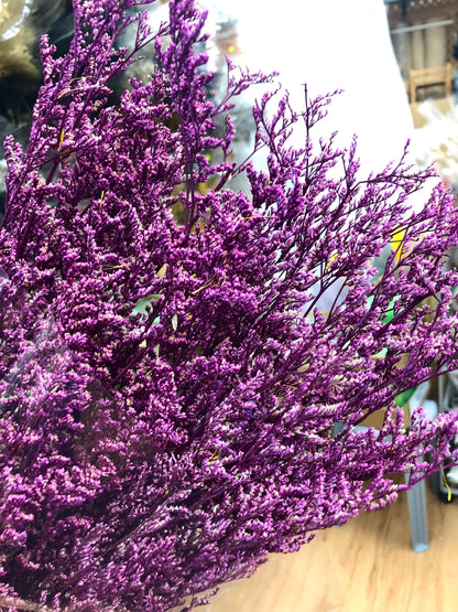 Preserved Limonium